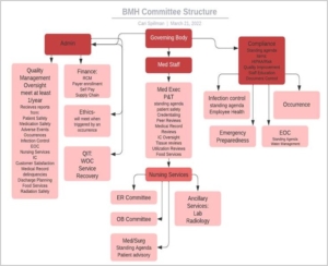 HQIC Success Story Blue Mountain Hospital